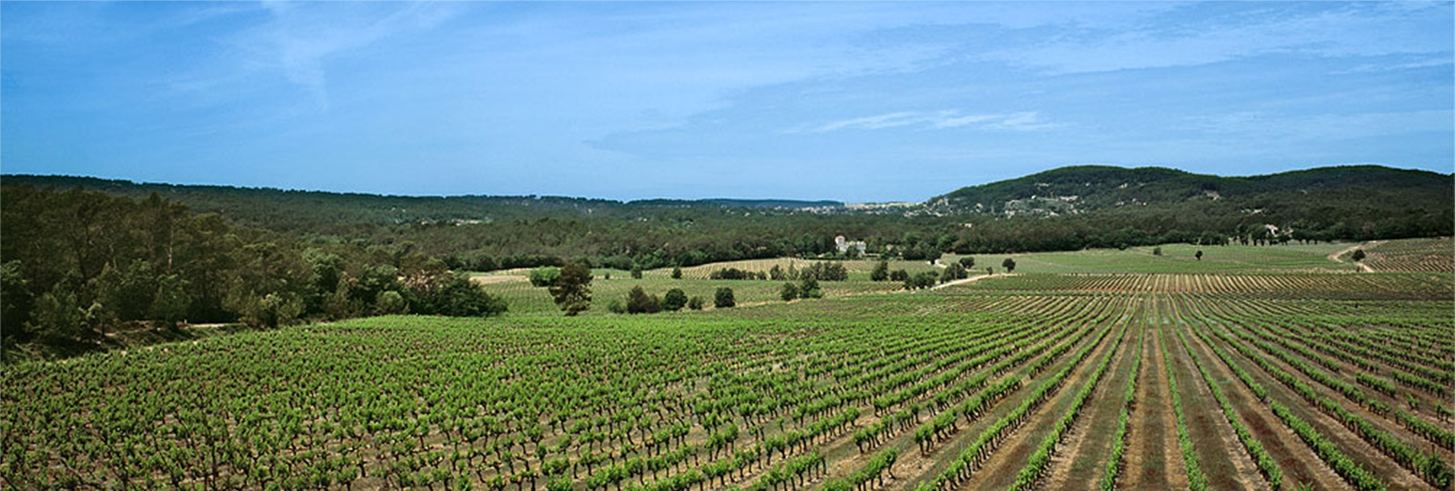 saisons printemps